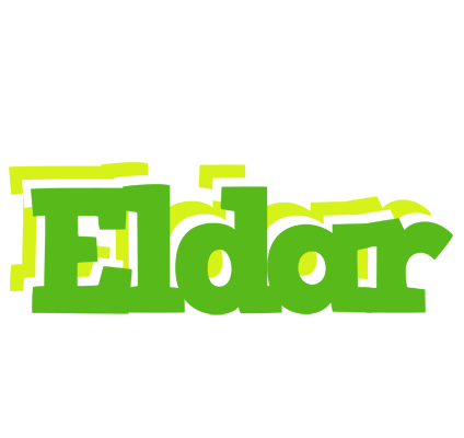 Eldar picnic logo
