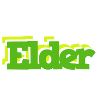 Elder picnic logo