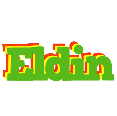 Eldin crocodile logo