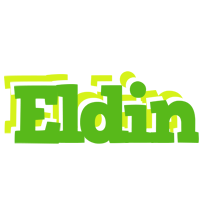 Eldin picnic logo