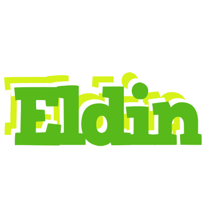 Eldin picnic logo