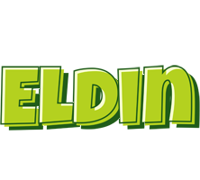 Eldin summer logo