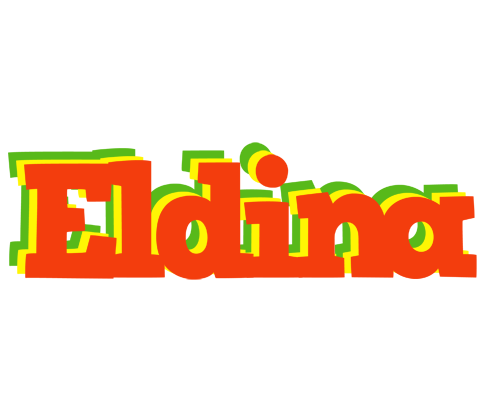 Eldina bbq logo