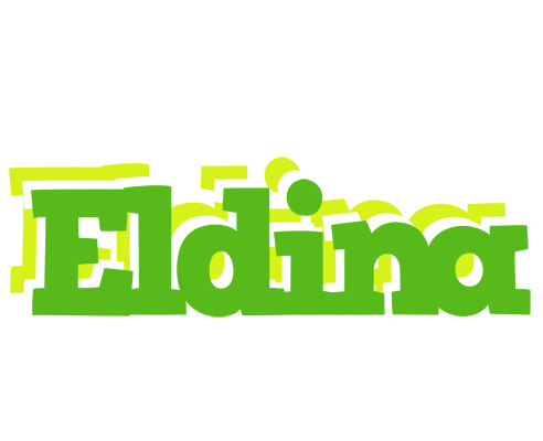Eldina picnic logo