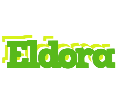 Eldora picnic logo
