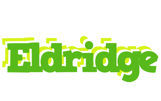 Eldridge picnic logo