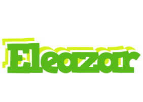 Eleazar picnic logo