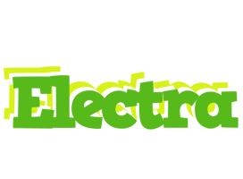 Electra picnic logo