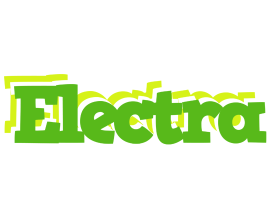 Electra picnic logo