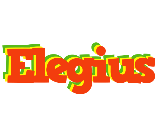 Elegius bbq logo