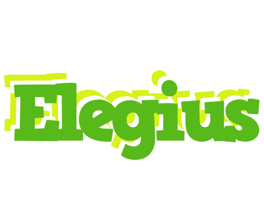 Elegius picnic logo