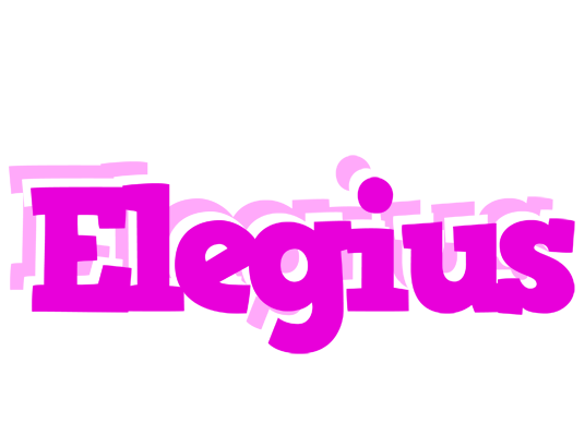 Elegius rumba logo