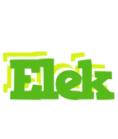 Elek picnic logo