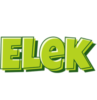 Elek summer logo