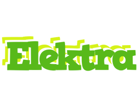 Elektra picnic logo