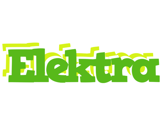 Elektra picnic logo