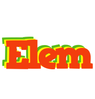 Elem bbq logo