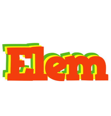 Elem bbq logo