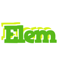 Elem picnic logo