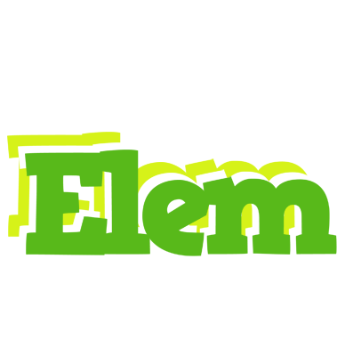 Elem picnic logo
