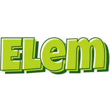 Elem summer logo