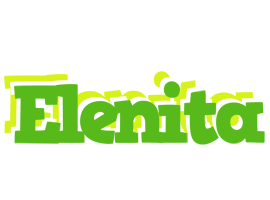 Elenita picnic logo