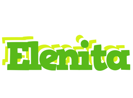 Elenita picnic logo