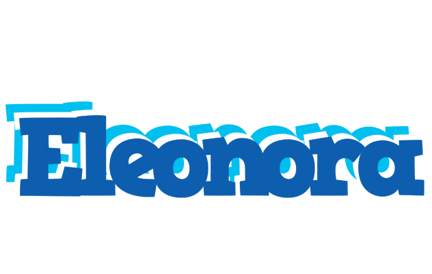 Eleonora business logo