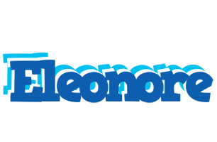 Eleonore business logo