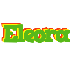 Eleora crocodile logo