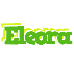 Eleora picnic logo