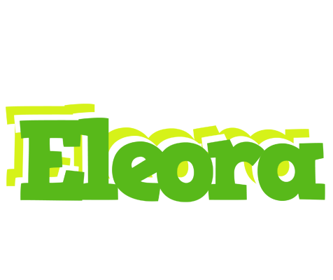 Eleora picnic logo