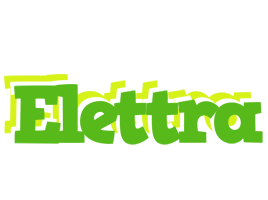 Elettra picnic logo