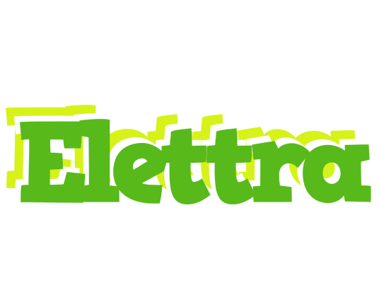 Elettra picnic logo