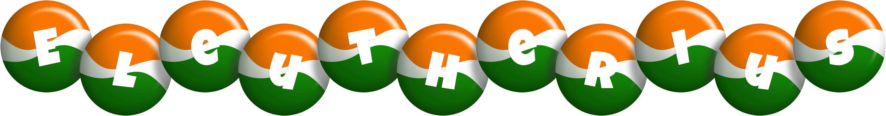 Eleutherius india logo