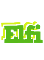 Elfi picnic logo