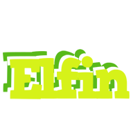 Elfin citrus logo