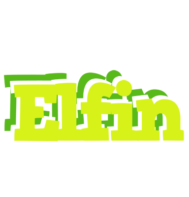 Elfin citrus logo