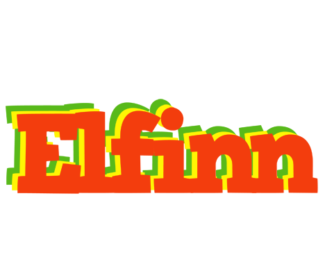 Elfinn bbq logo