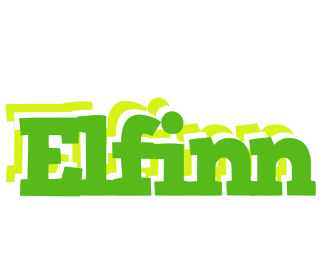 Elfinn picnic logo