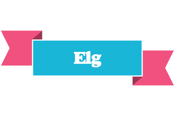 Elg today logo