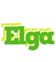 Elga picnic logo