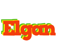 Elgan bbq logo