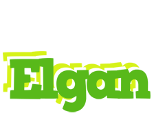 Elgan picnic logo