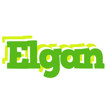 Elgan picnic logo