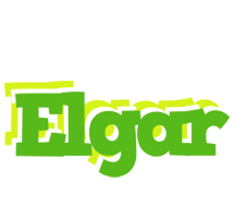 Elgar picnic logo