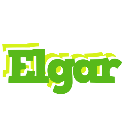 Elgar picnic logo