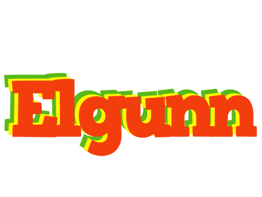 Elgunn bbq logo