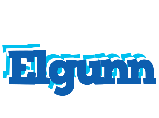 Elgunn business logo