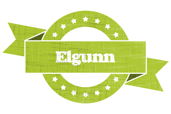 Elgunn change logo